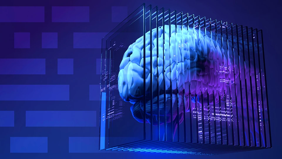 Dynamic machine learning best sale algorithms